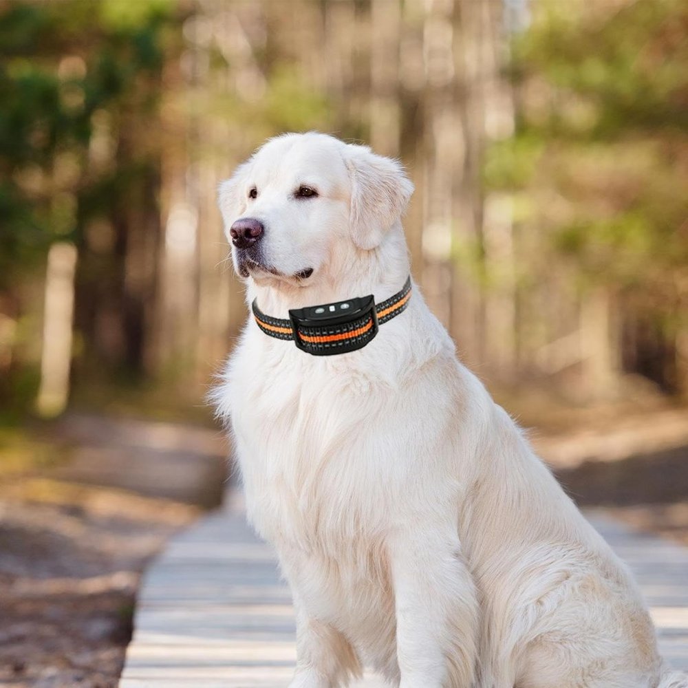 Bark Collar Rechargeable Anti Barking Dog Training Collar, Adjustable  Collar